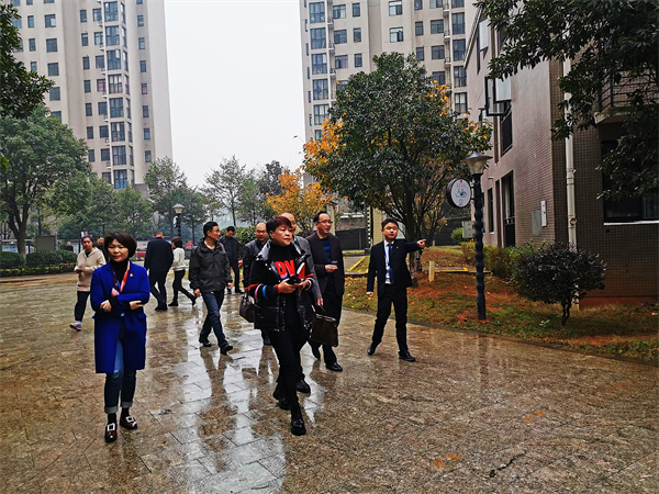 图片17_副本.png